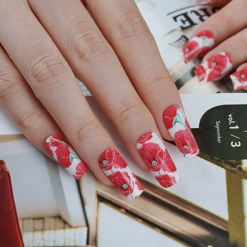 Amapola