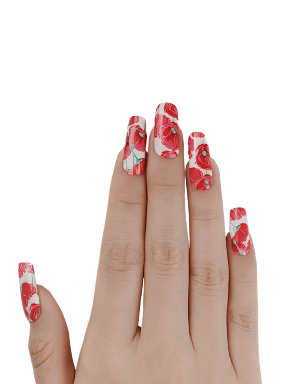 Amapola