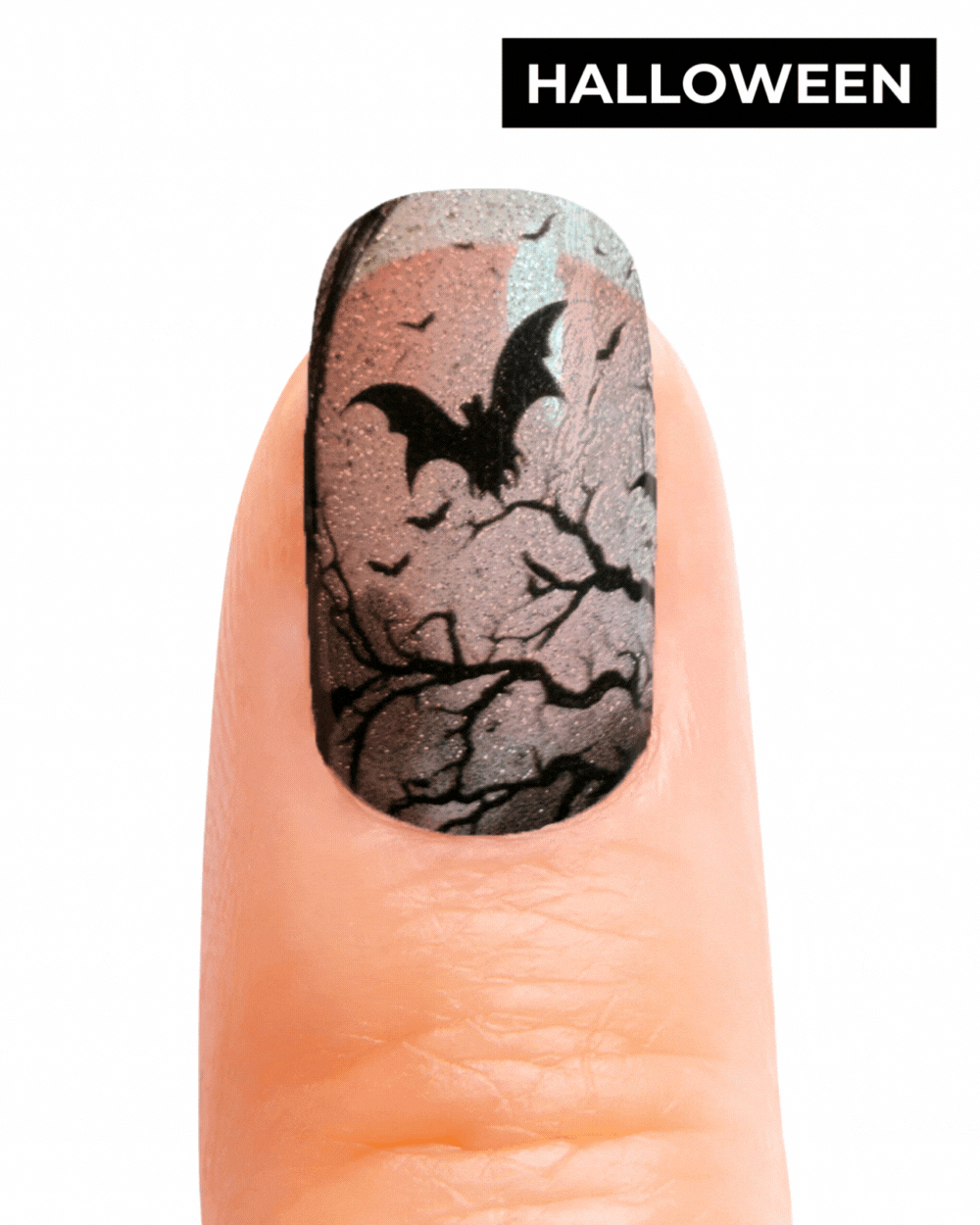 Pack Geeli Nails