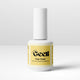 Top Coat Brillant