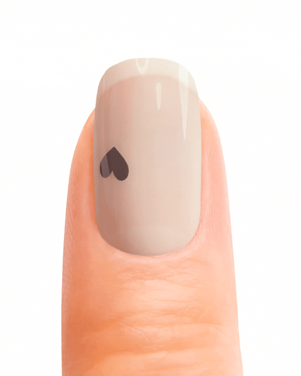 Pack Geeli Nails