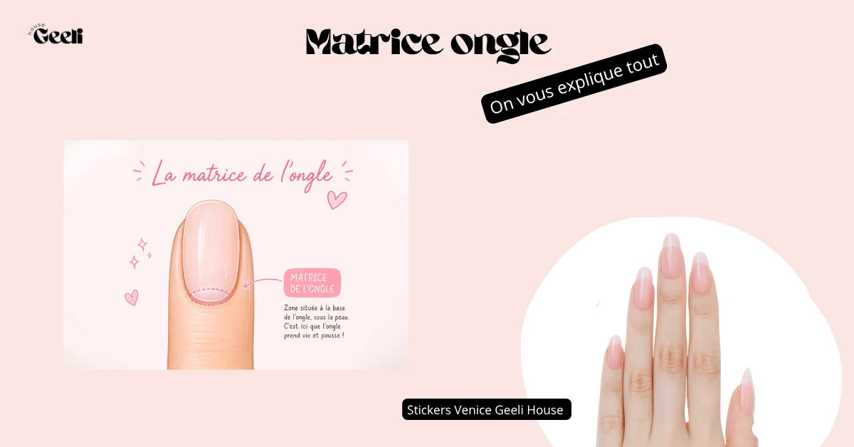 Matrice ongle : quel est son rôle et pourquoi est-elle essentielle ?